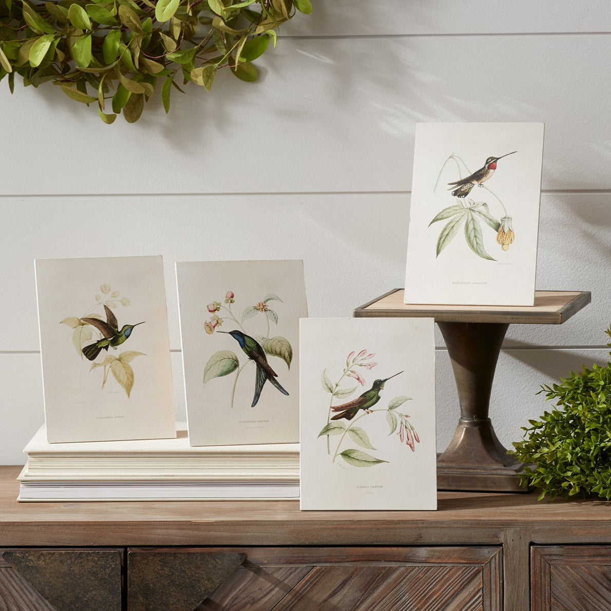 Tabletop Encyclopedia Hummingbird Print Set of 4
