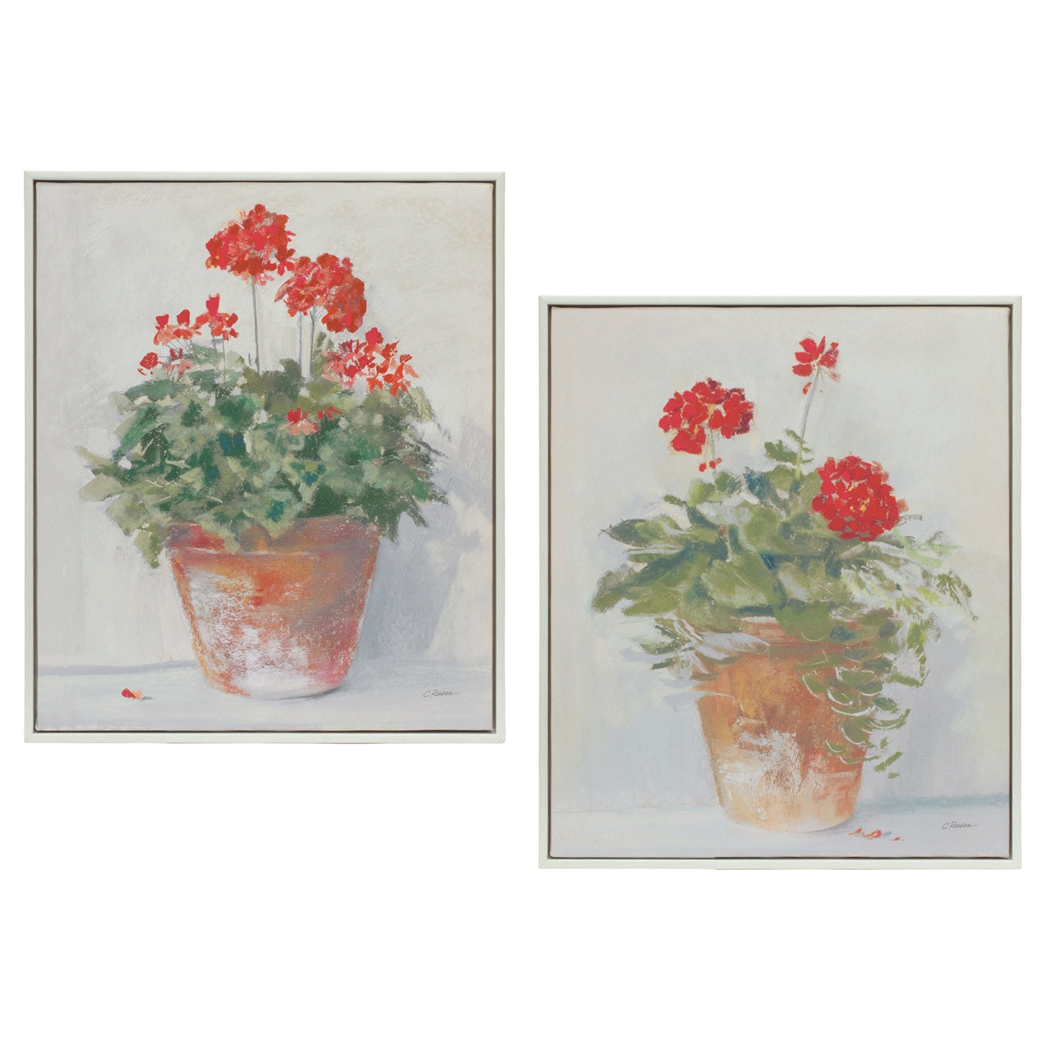 Framed Potted Geranium Print Set of 2