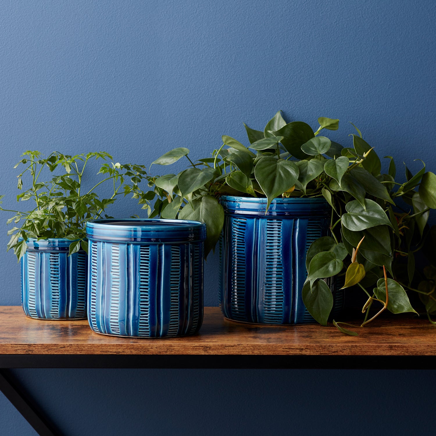 Blue Etched Terra Cotta Pot Planter Set of 3