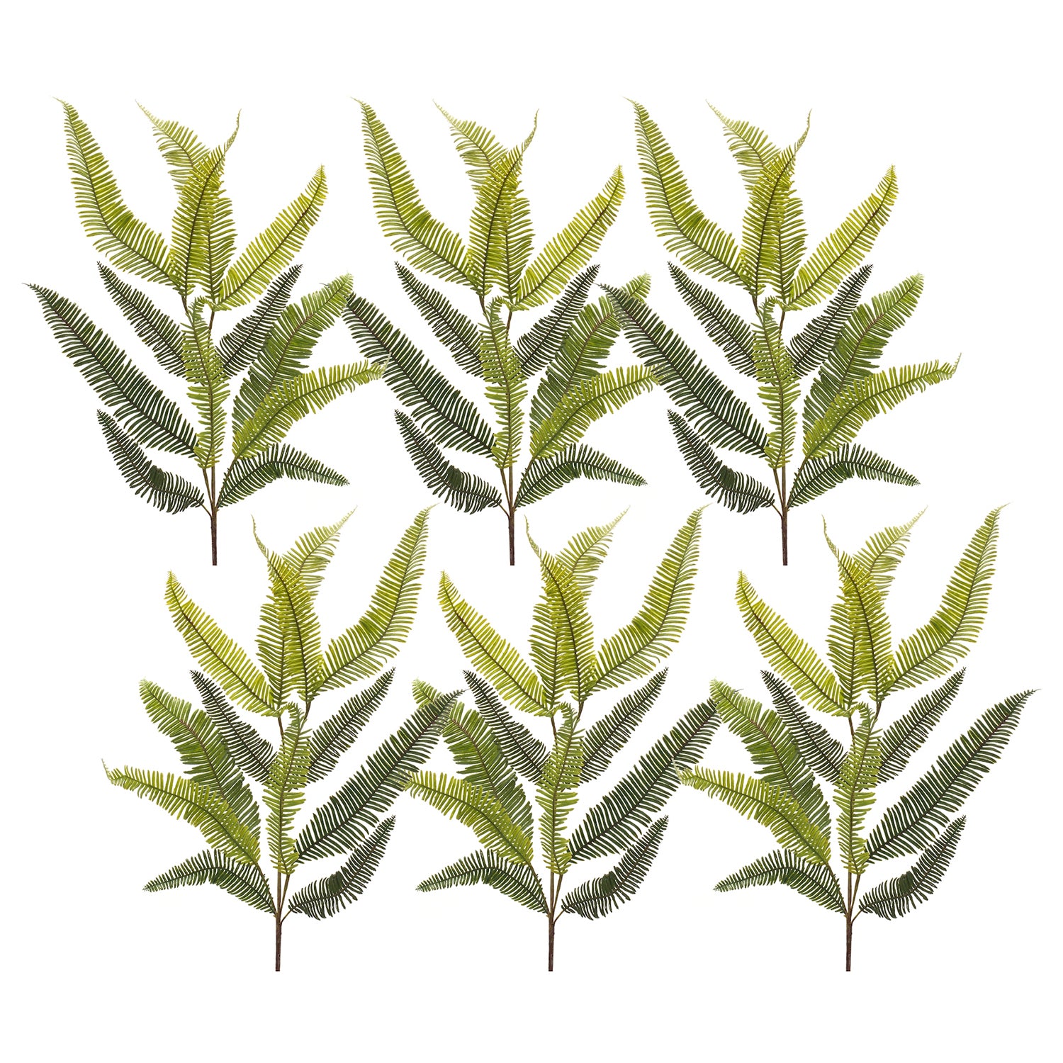 Varigated Fern Foliage Spray Set of 6