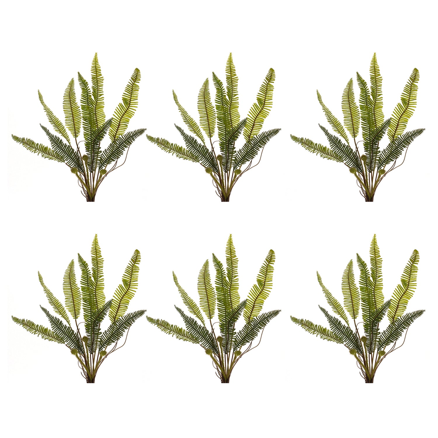 Varigated Fern Foliage Bush Set of 6