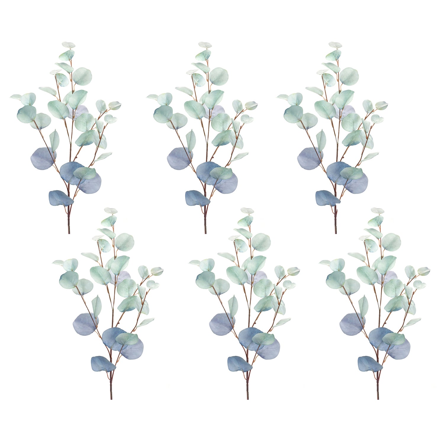 Silver Dollar Eucalyptus Leaf Spray Set of 6