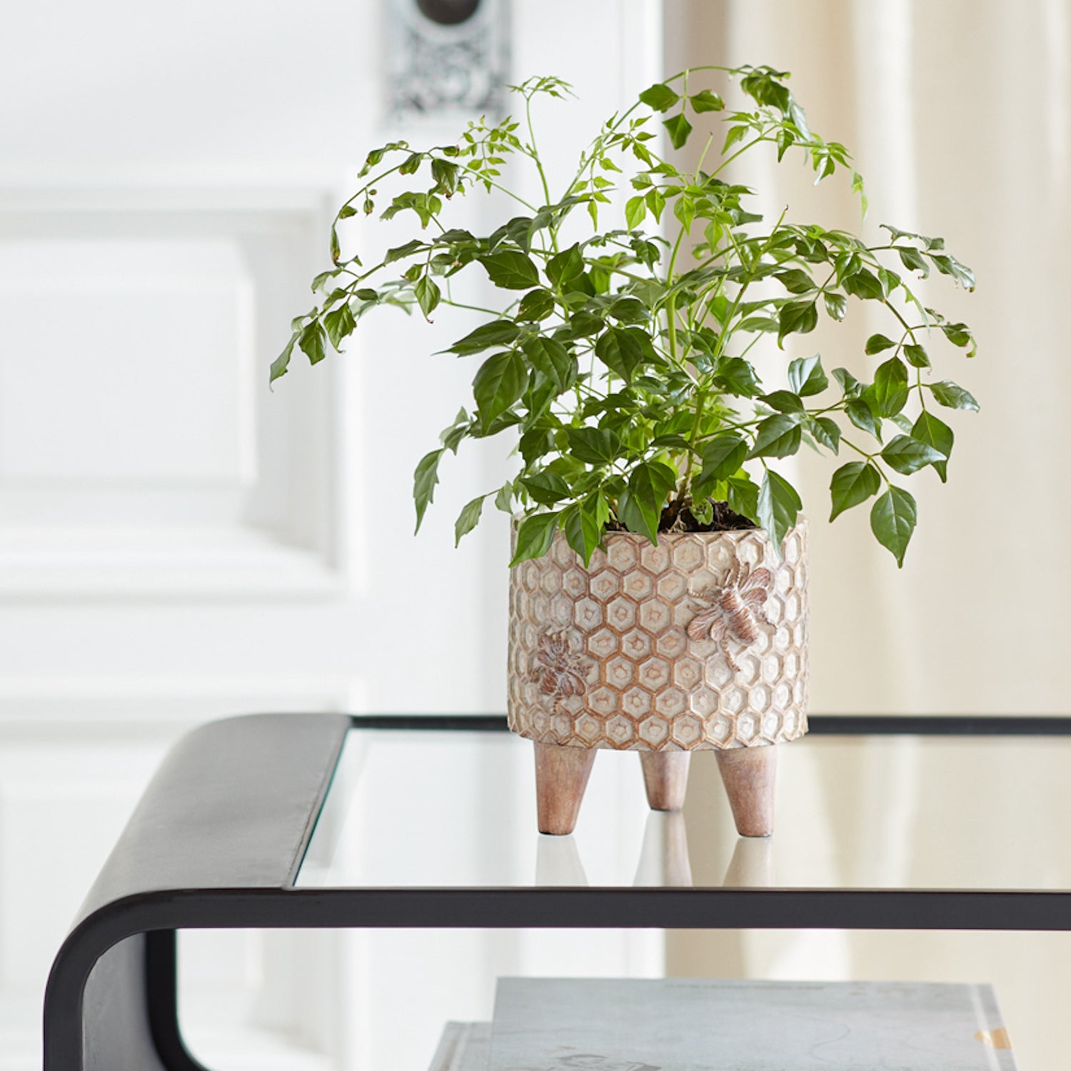 Resin Honeycomb Bumble Bee Planter with Legs Set of 2