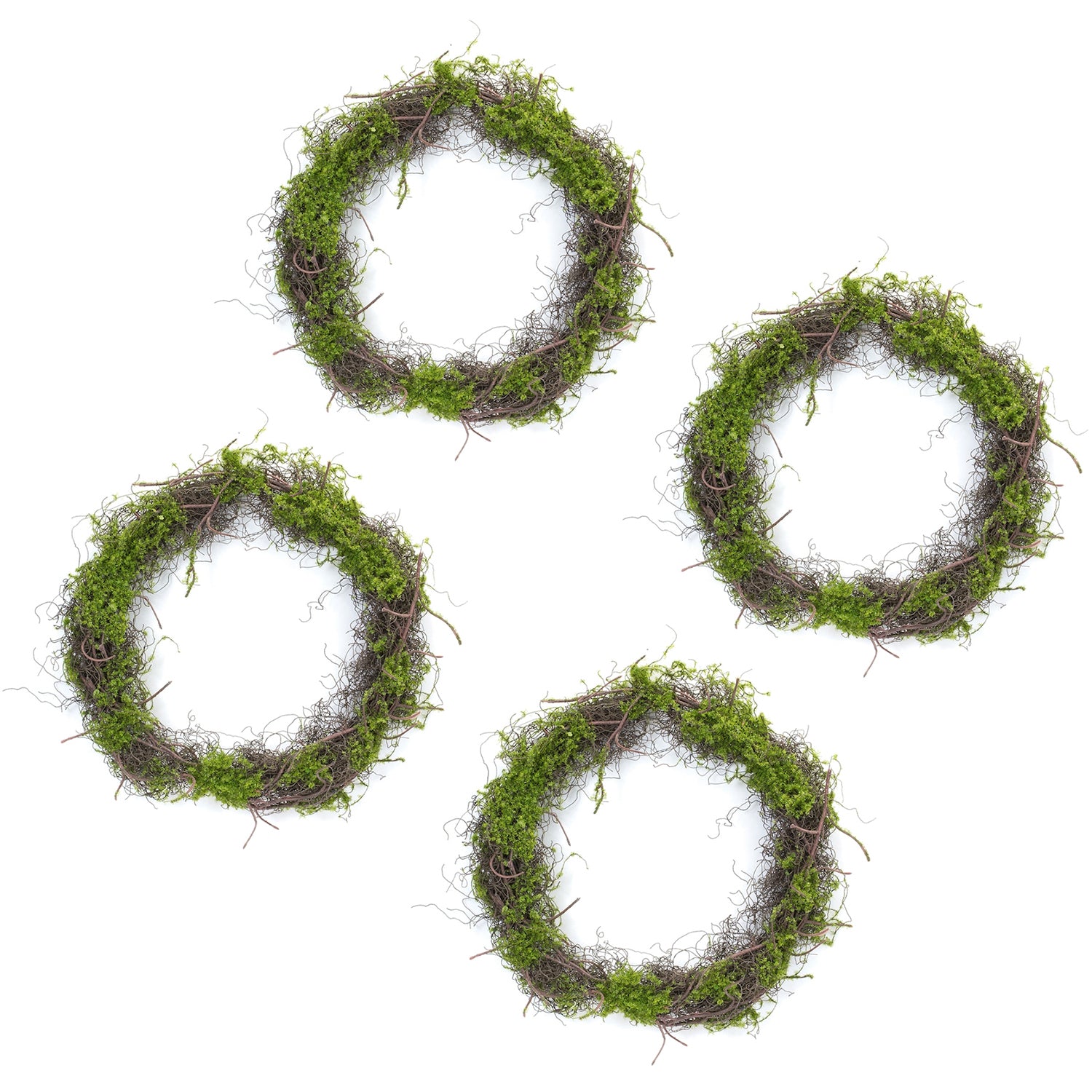 Moss Leaf Twig Wreath Set of 4