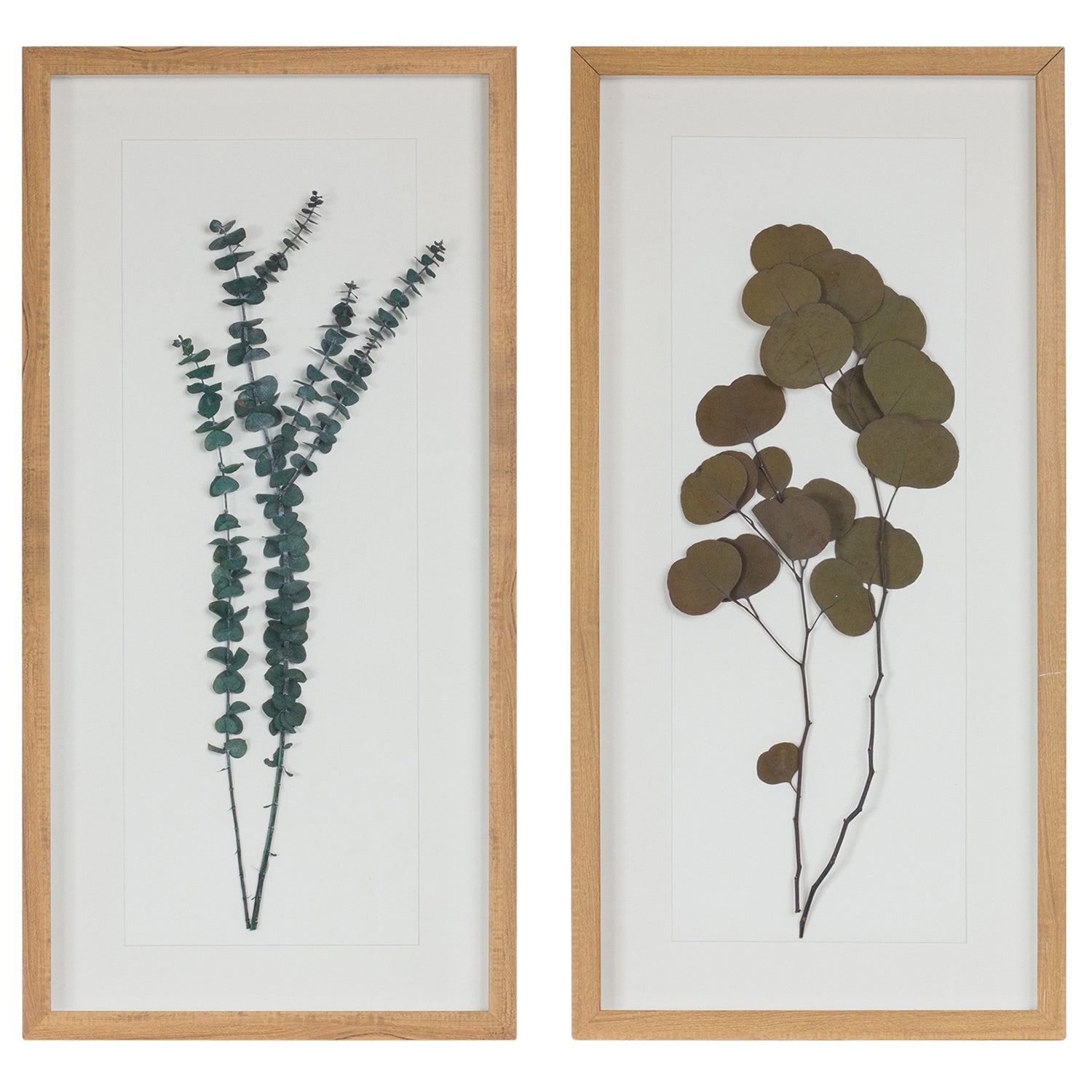 Dried Eucalyptus Frame Set of 2