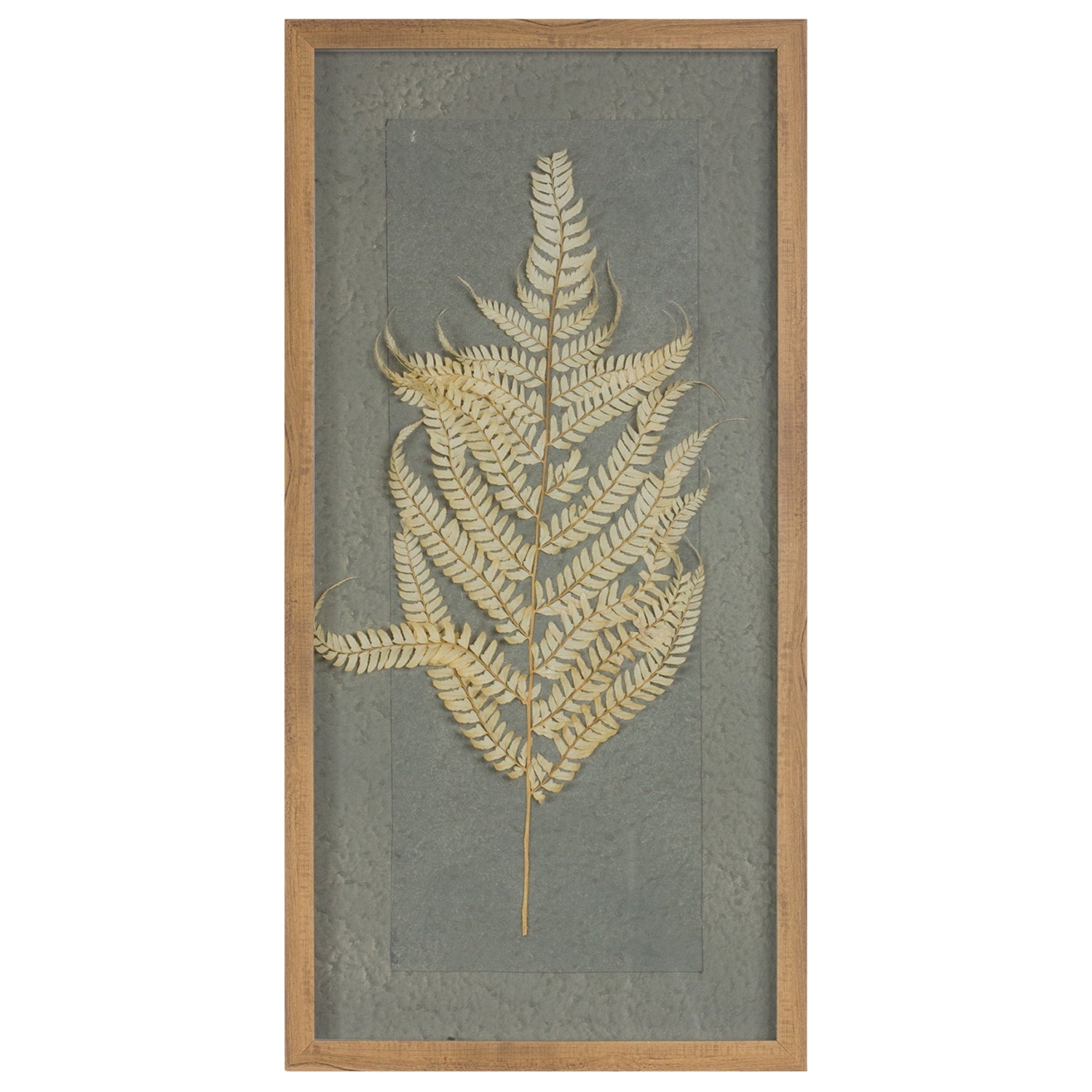 Dried Fern Frame Set of 2