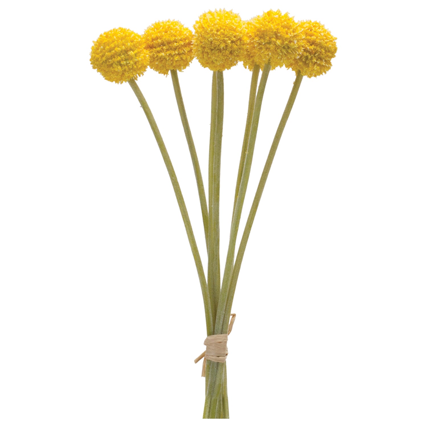 Pod Faux Stem Bundle Set of 6