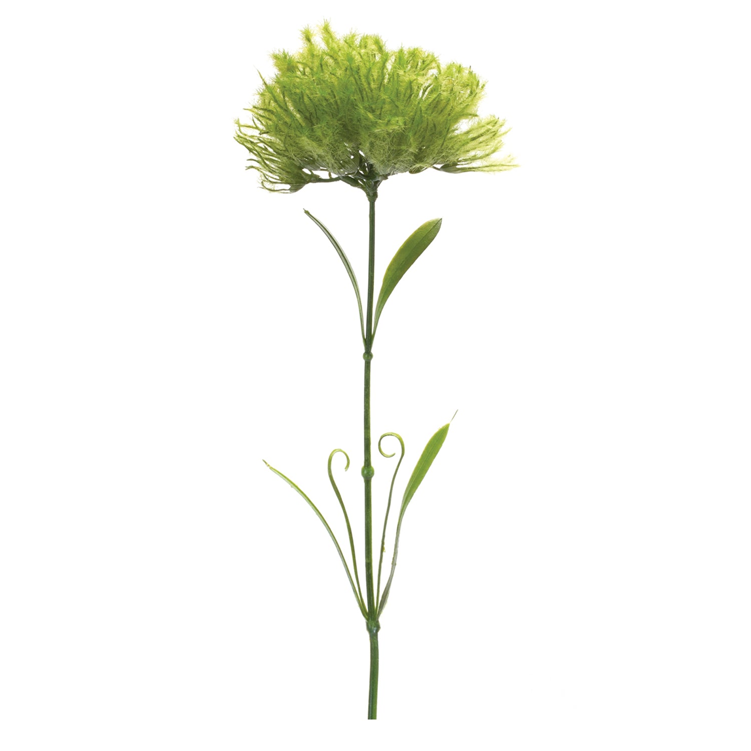 Puff Flower Stem Set of 6