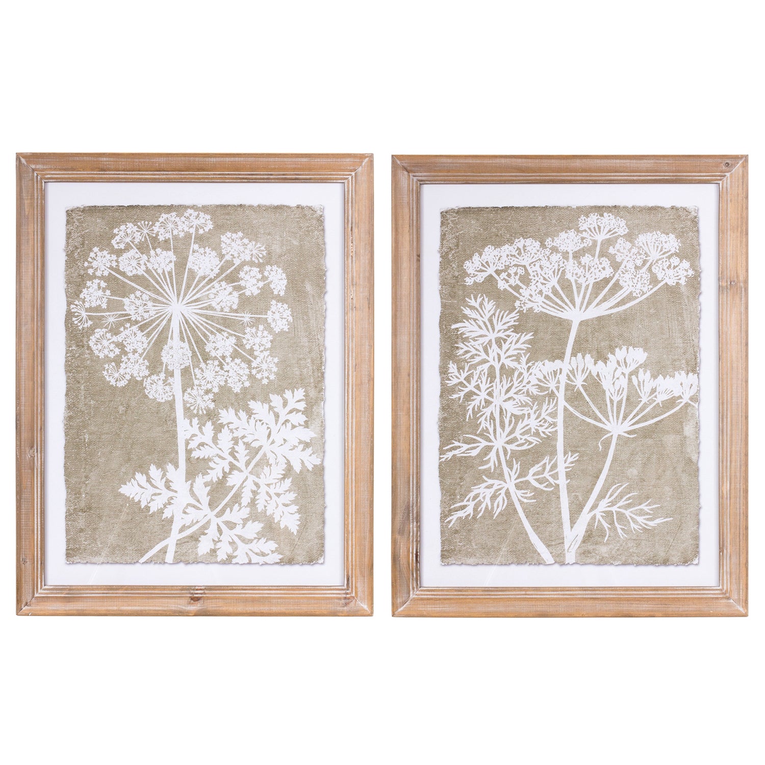 Framed Queen Anne's Lace and Fern Wall Art Set of 2