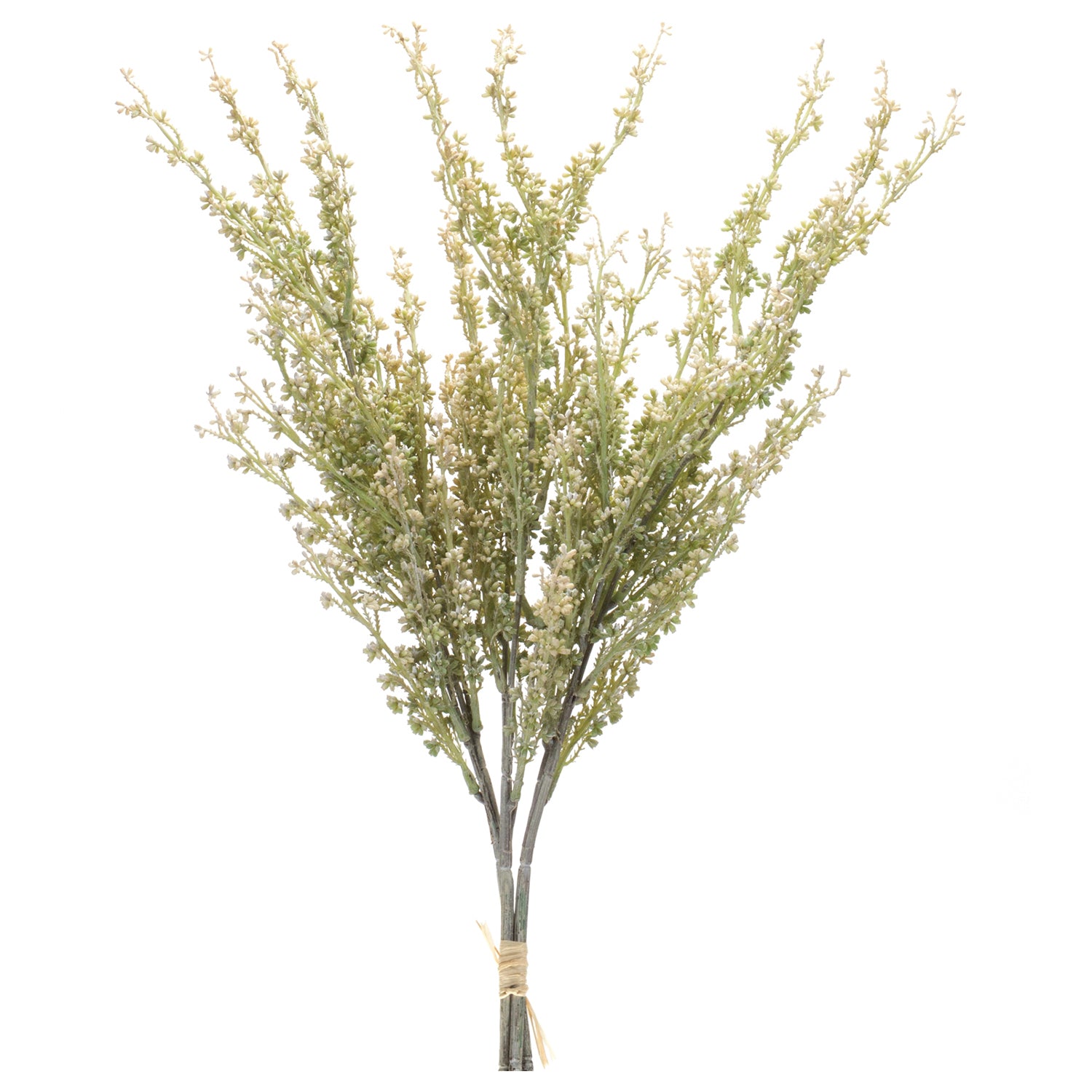 Mini Seed Pod Bundle Set of 2