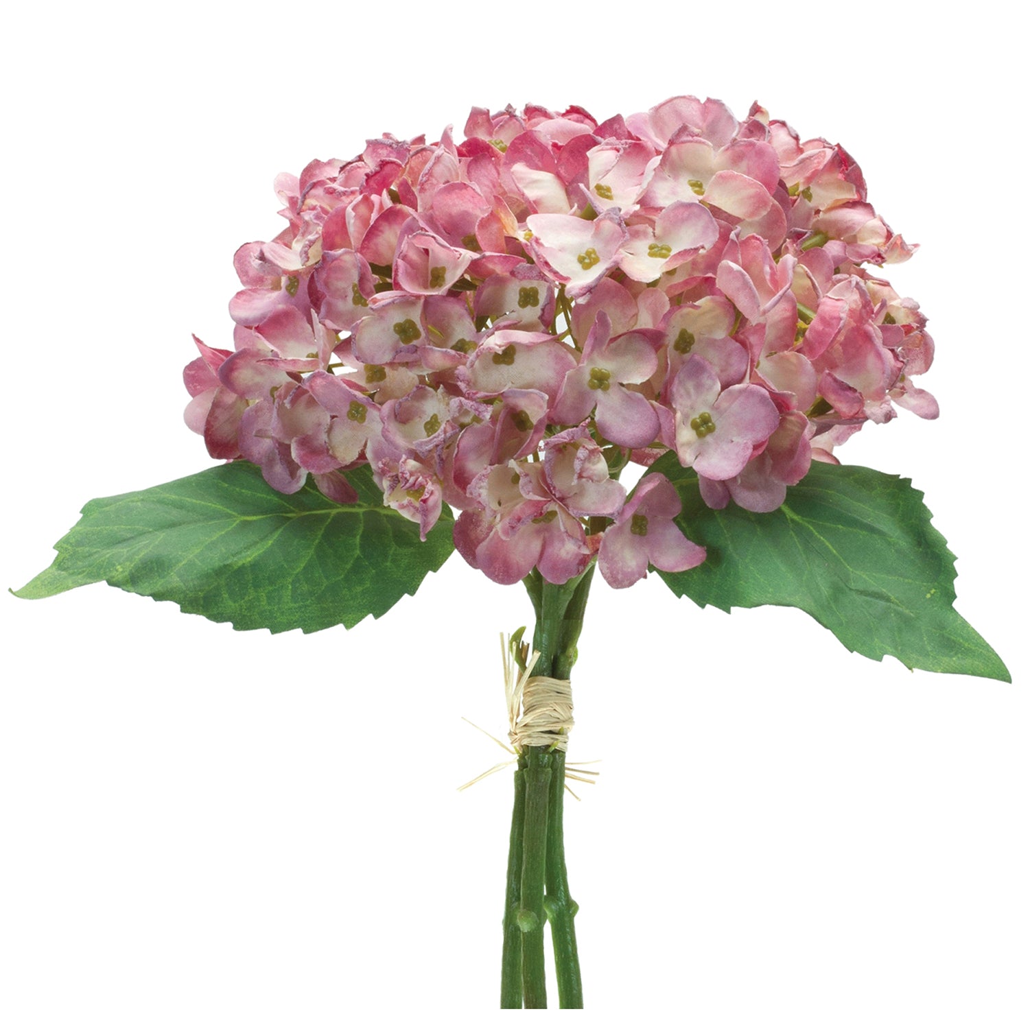 Hydrangea Bundle Set of 6