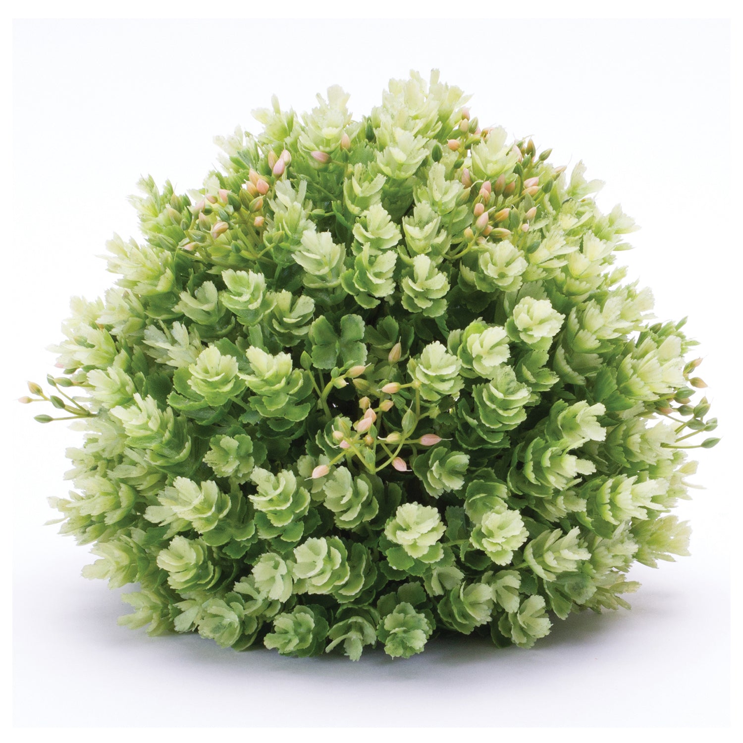 Foliage Half Orb Set of 2
