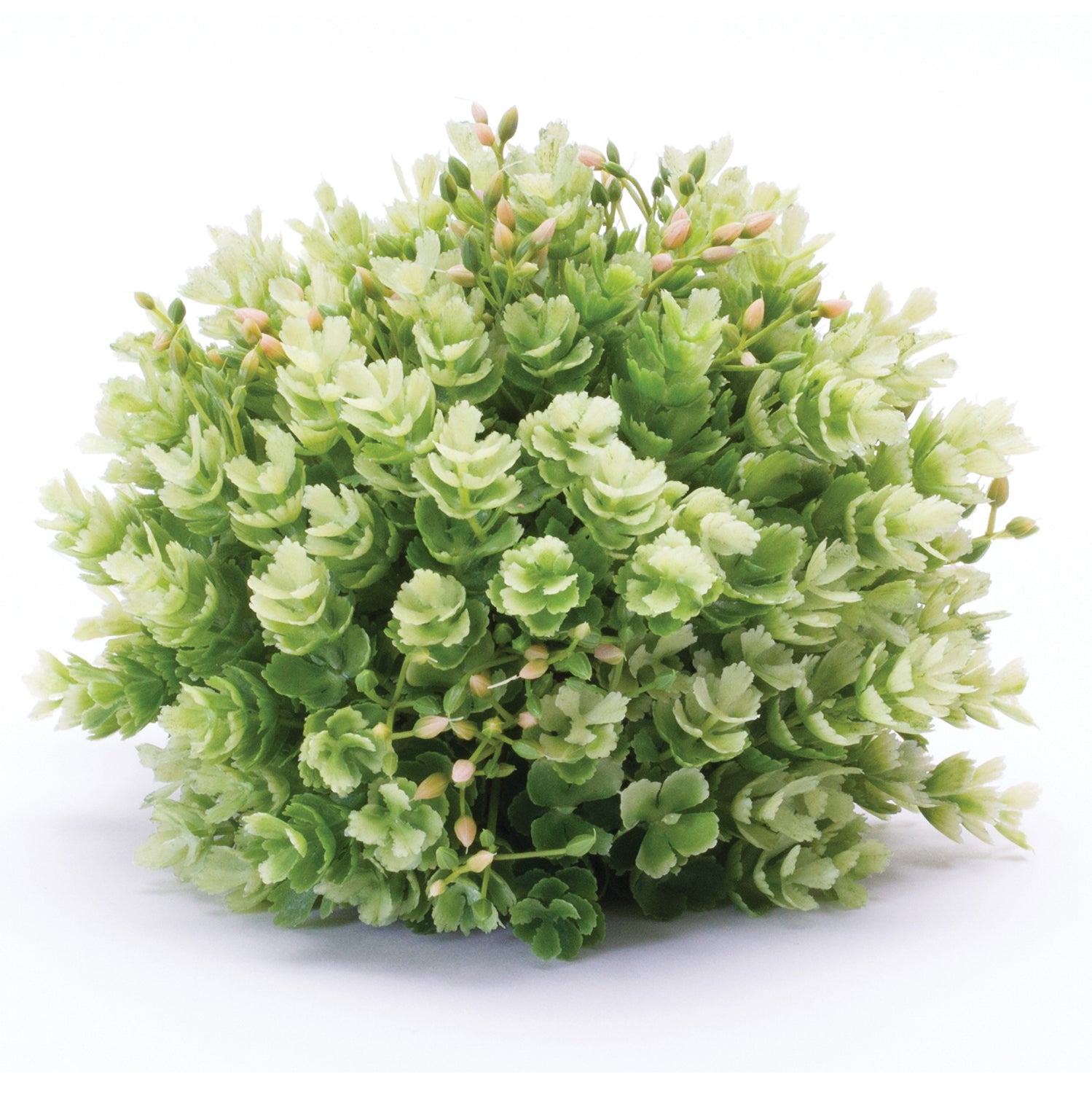 Foliage Half Orb Set of 2