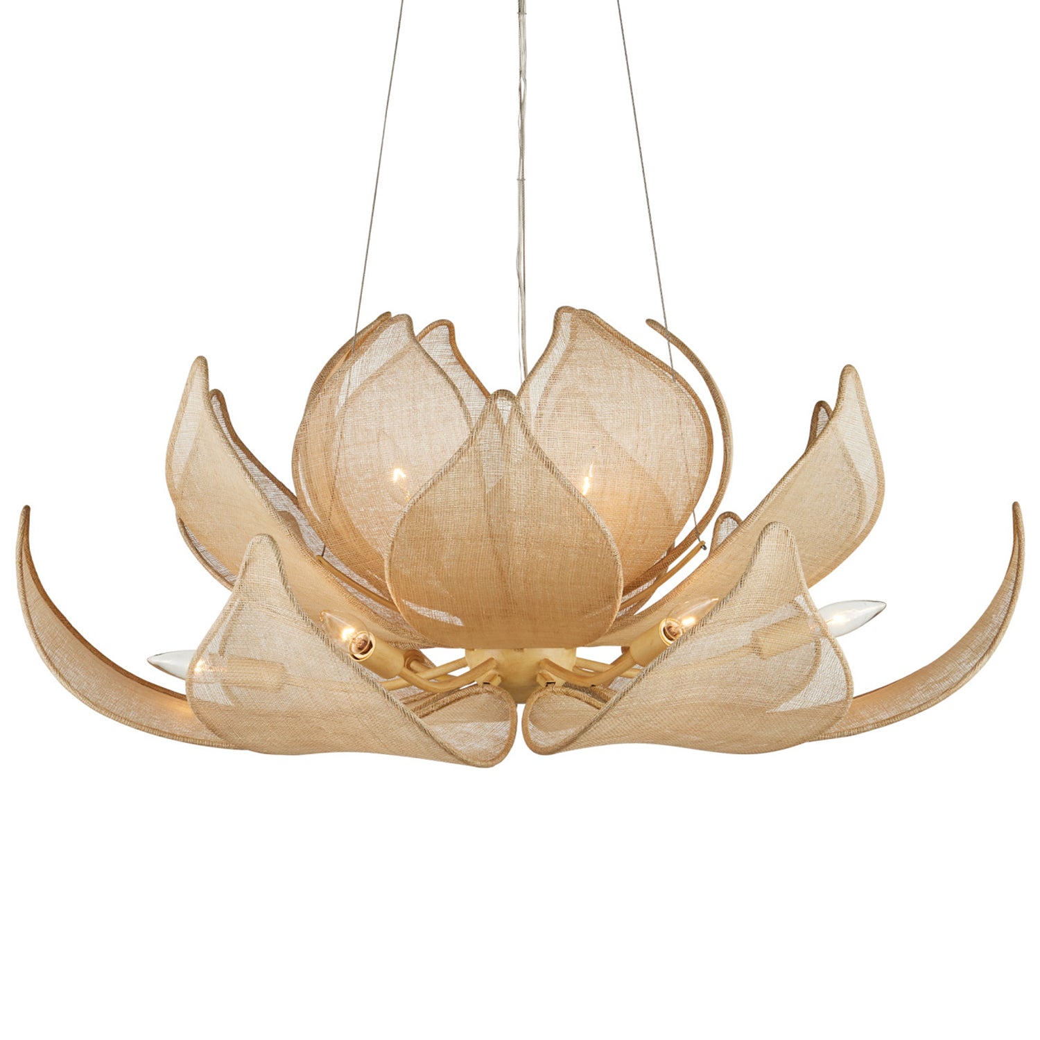 Currey & Co Oblivion Chandelier