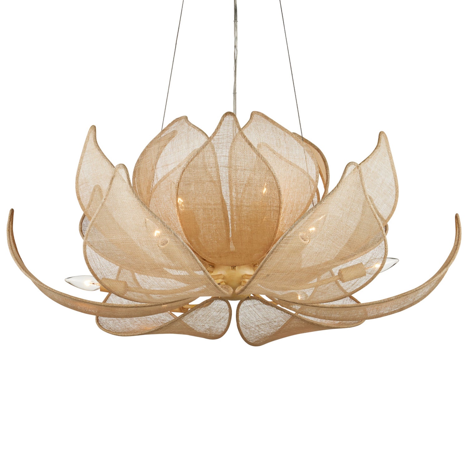 Currey & Co Oblivion Chandelier