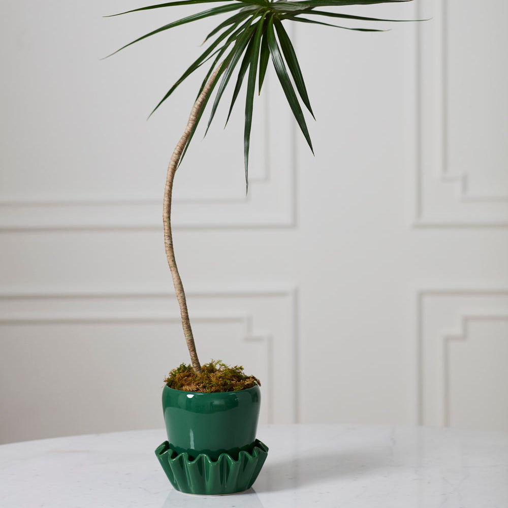 Lorelai Pot With Saucer