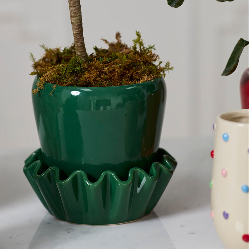 Lorelai Pot With Saucer