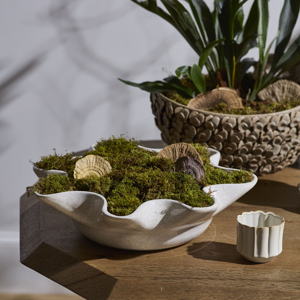 Halford Bowl styled as home decor