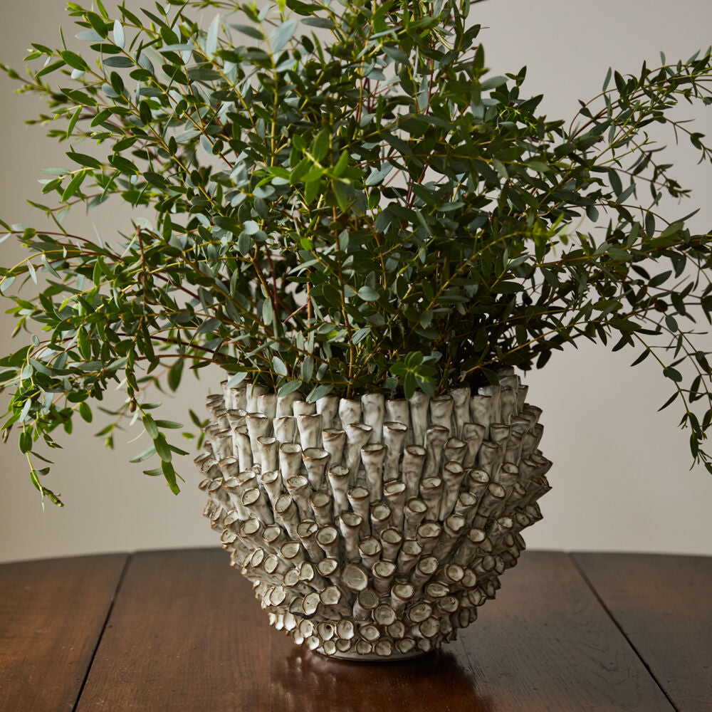 Surreal Pot styled on a home surface