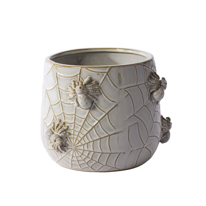 House Spider Pot