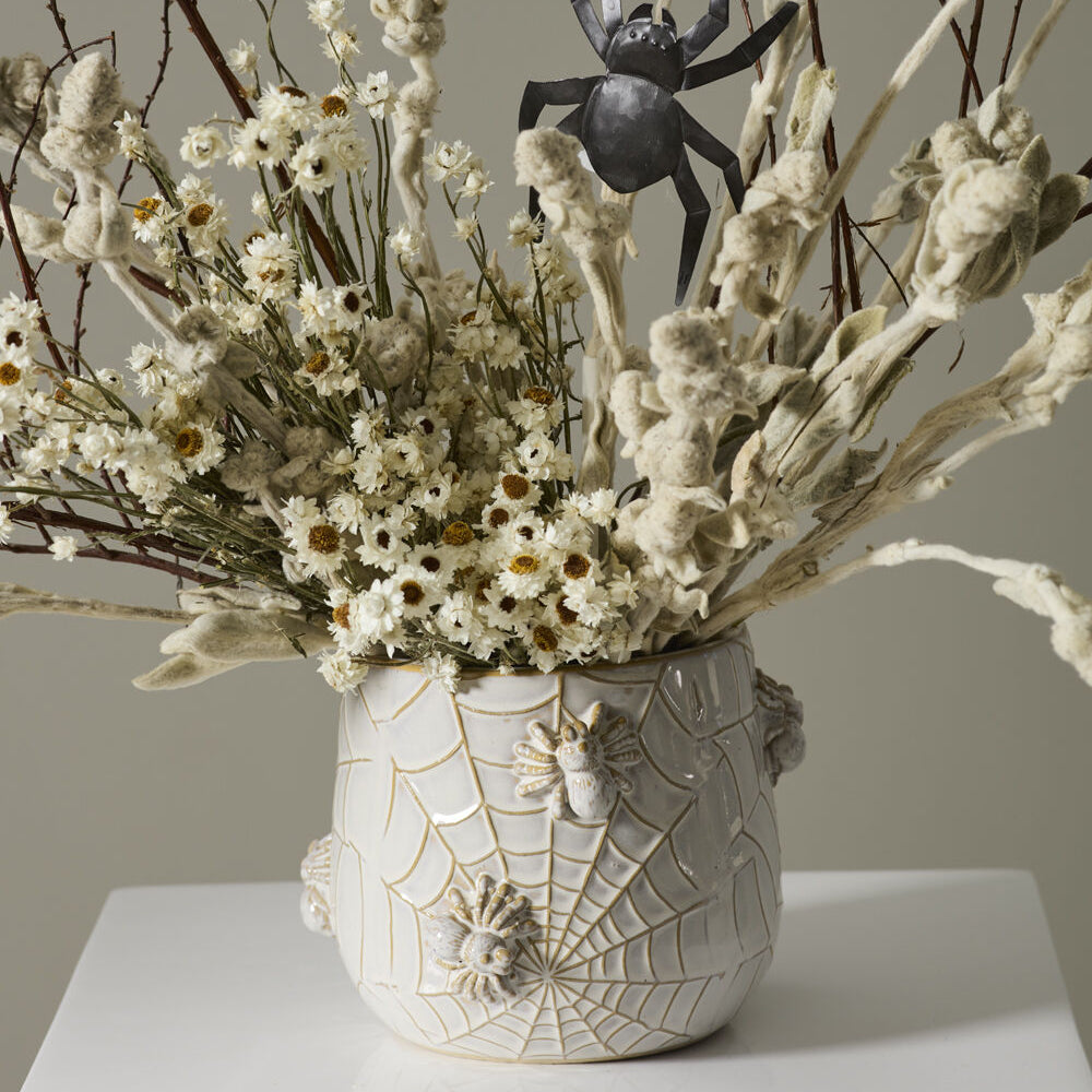 House Spider Pot