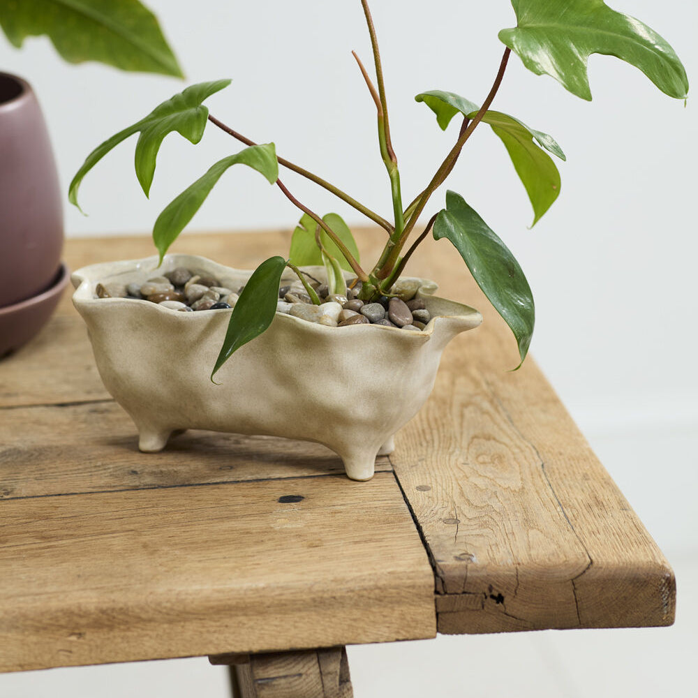 Glaslow Planter styled as home decor