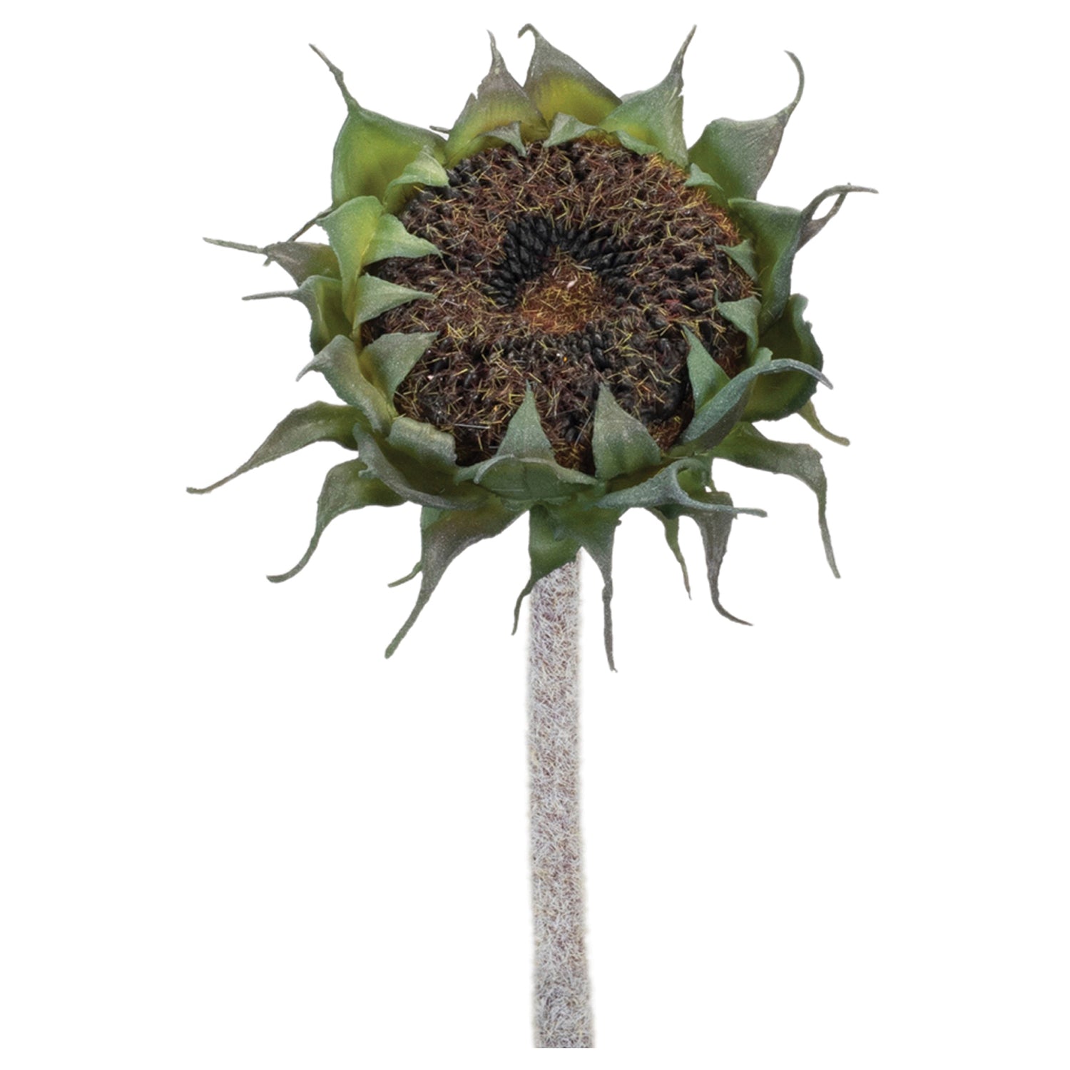 Sunflower Stem Set of 6