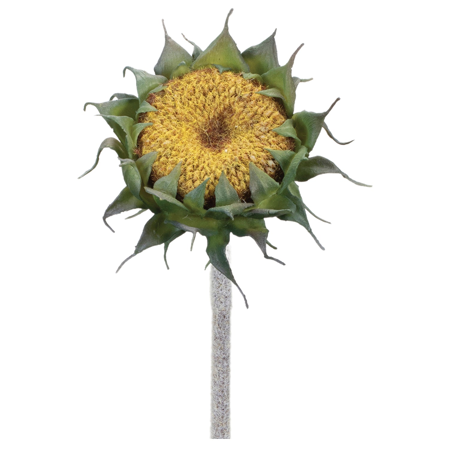 Sunflower Stem Set of 6