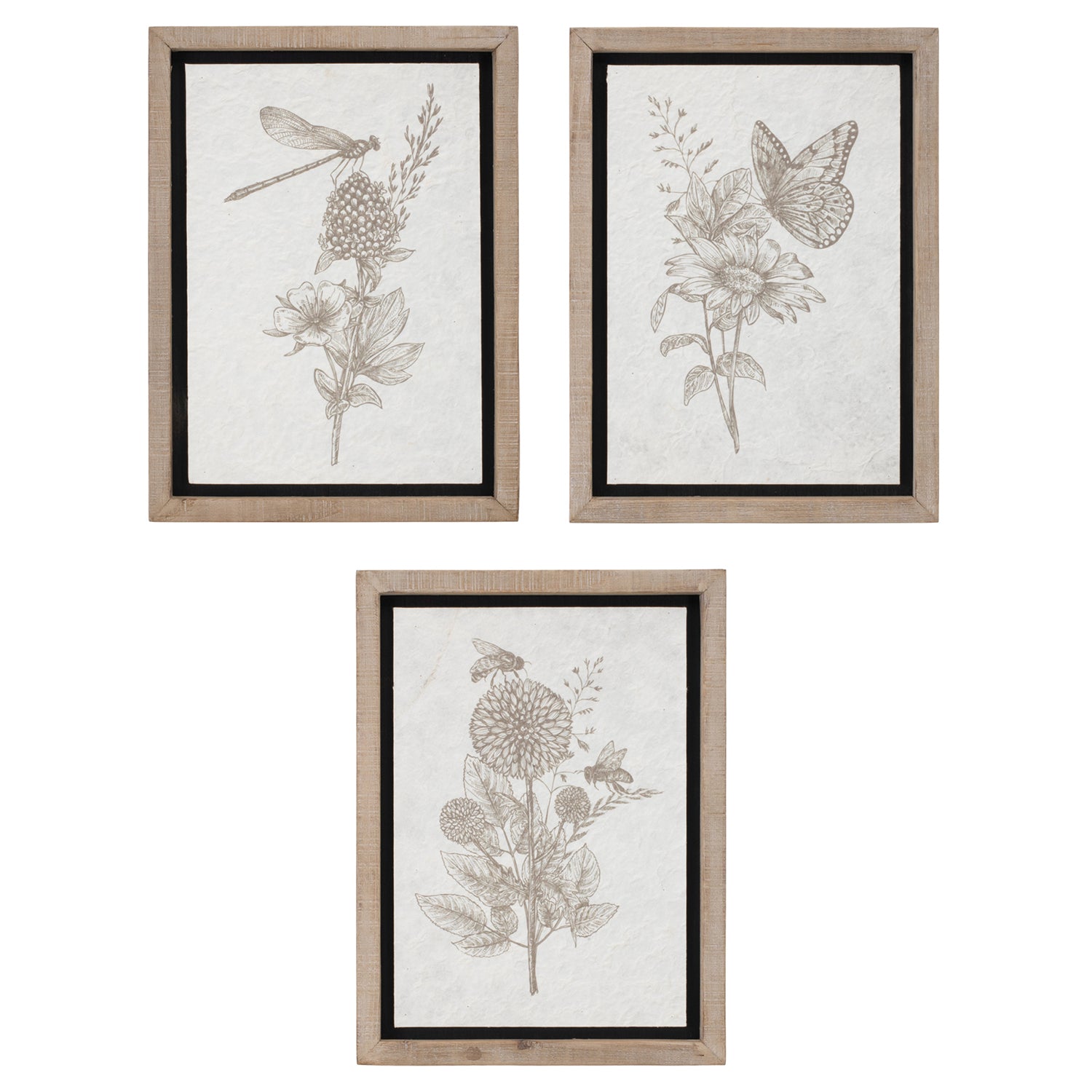 Framed Floral Insect Print Set of 3