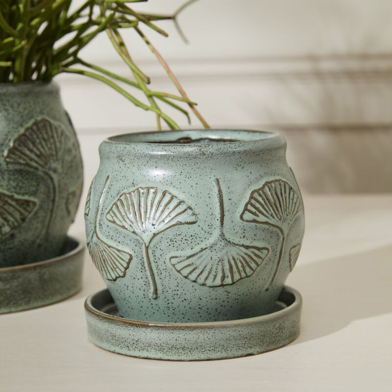 Biloba Pot with Saucer