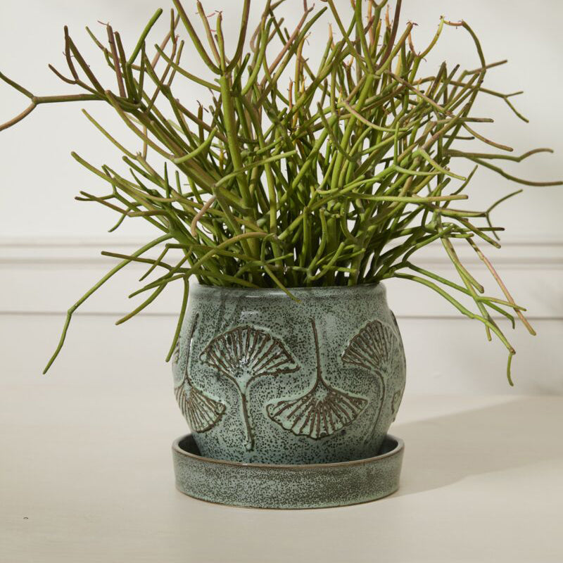 Biloba Pot with Saucer