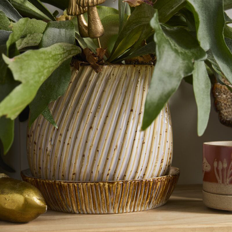 Carved Pot with Saucer