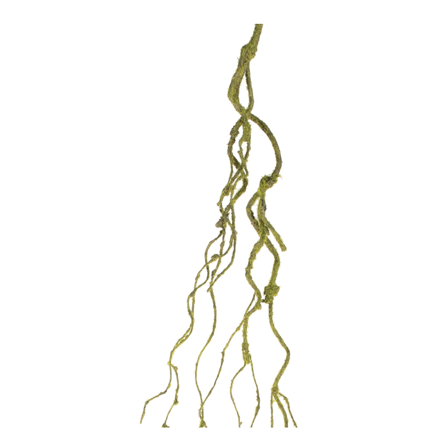 Mossy Twig Vine Set of 6
