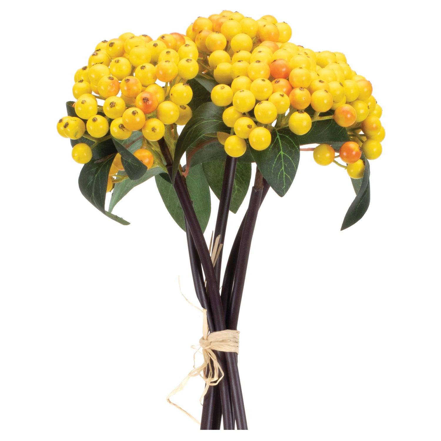 Yellow Berry Bundle Set of 2