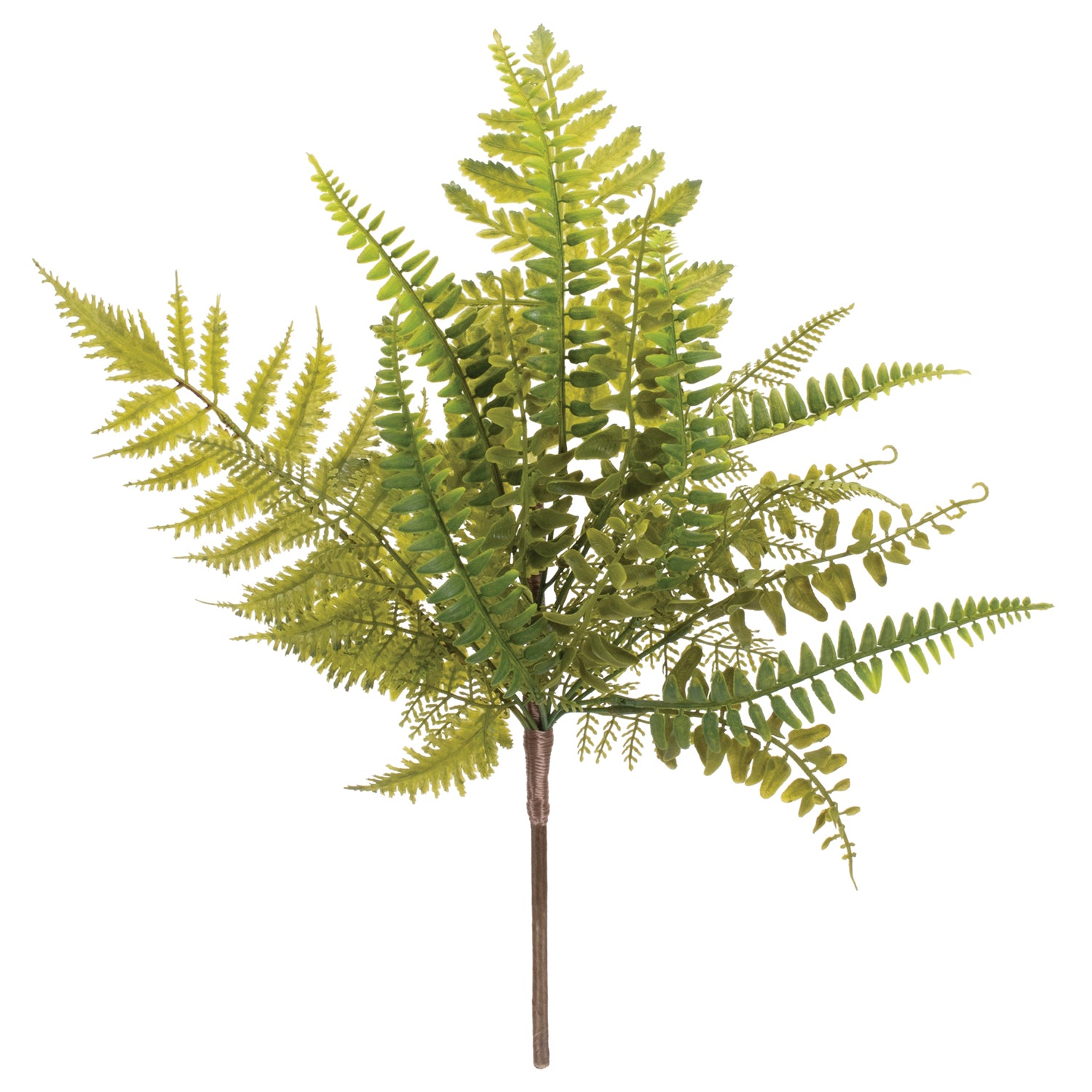 Mixed Fern Foliage Spray Set of 6