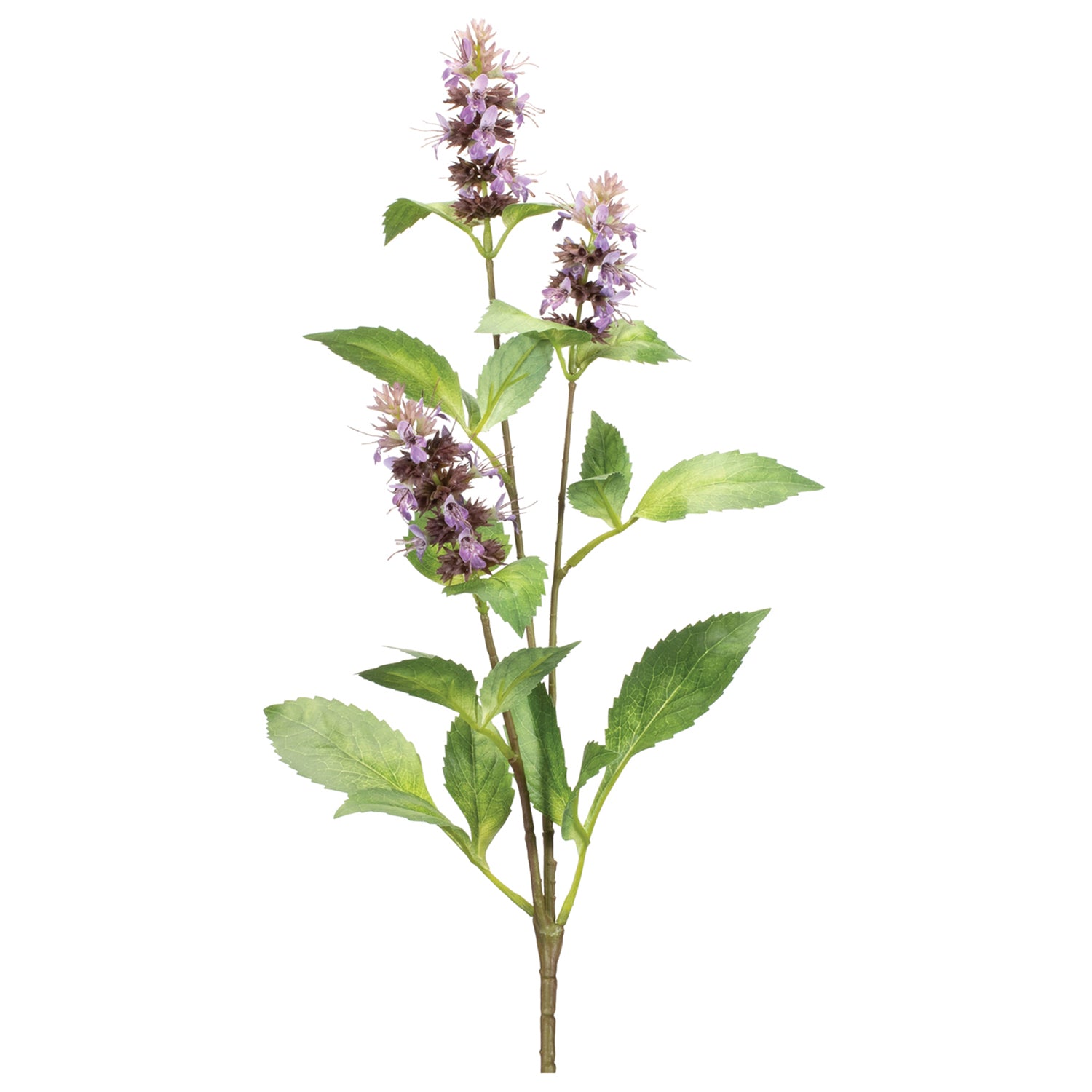 Buddleia Floral Stem Set of 6