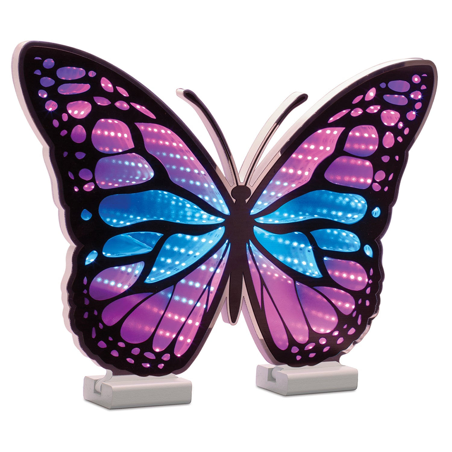 Butterfly Ekko Light Display