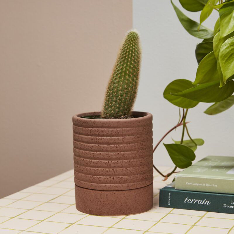 Bardo Pot with Saucer