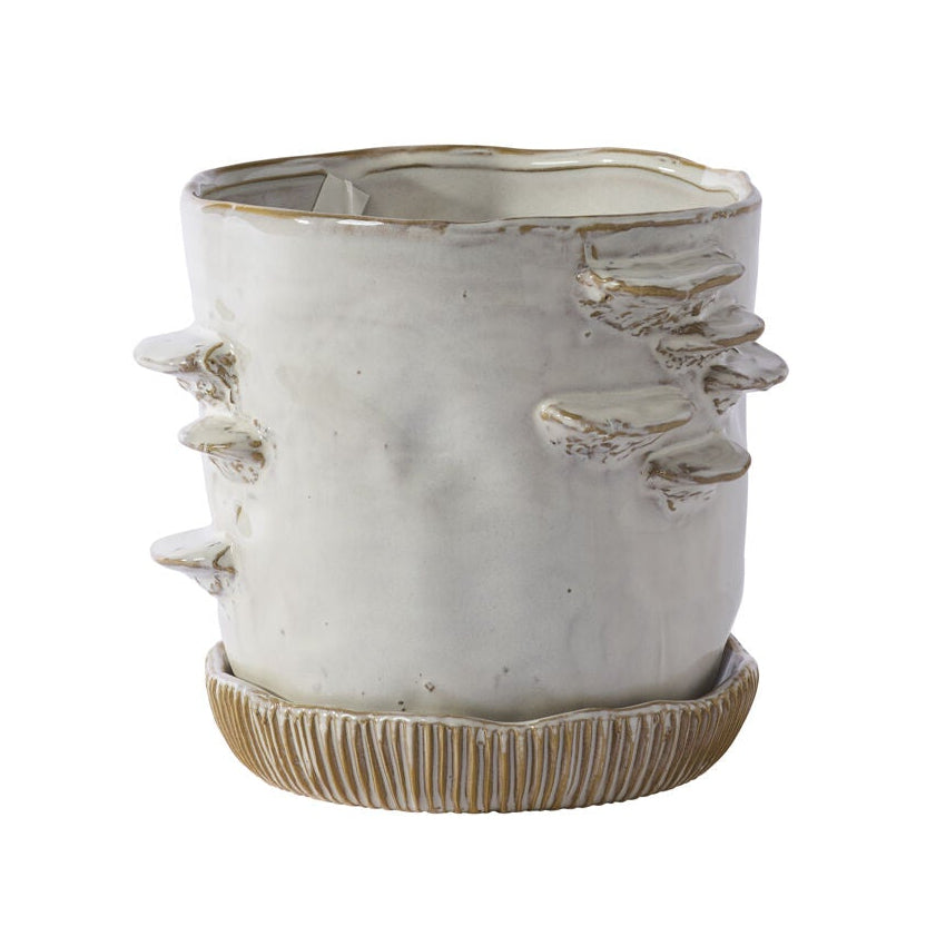 Stepped Mushroom Pot With Saucer