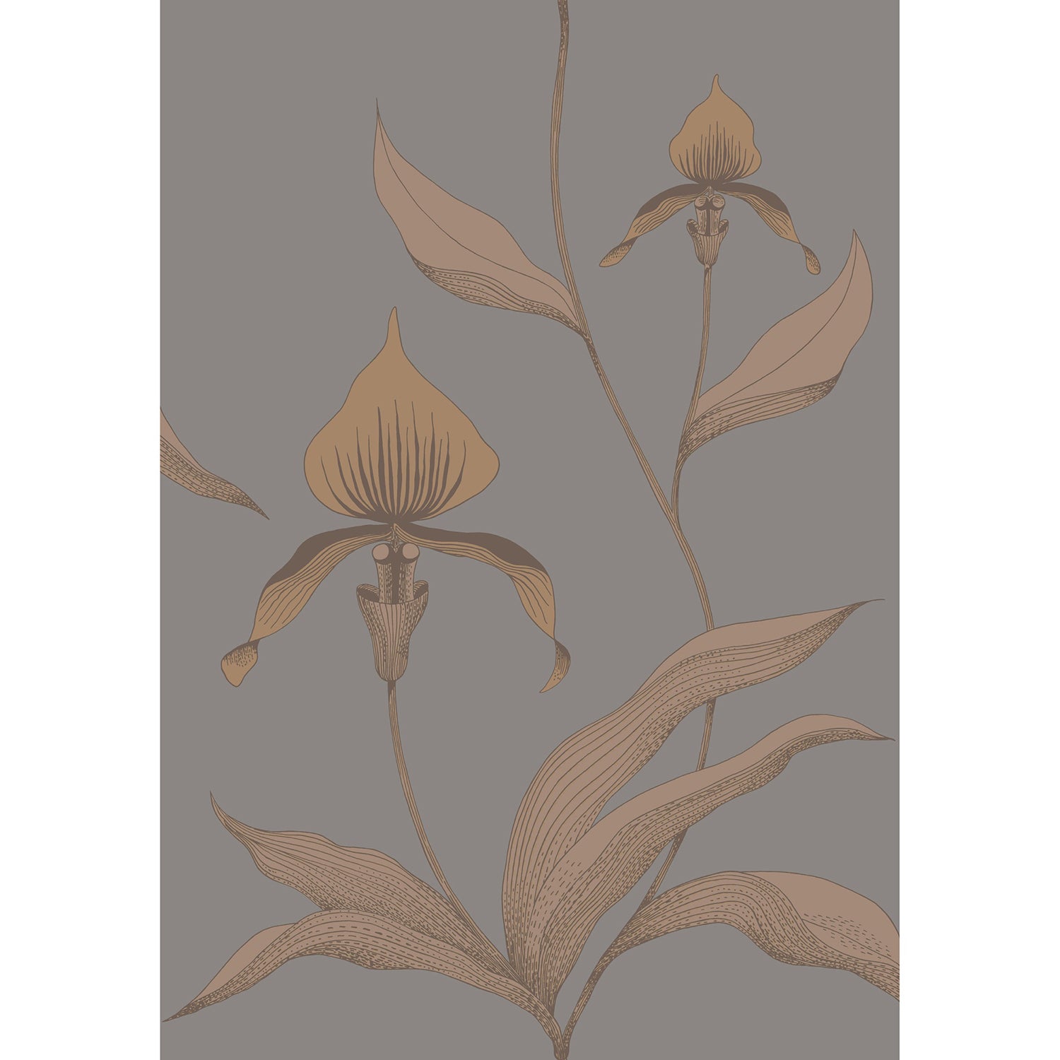 Cole & Son Contemporary Restyled Orchid Wallpaper