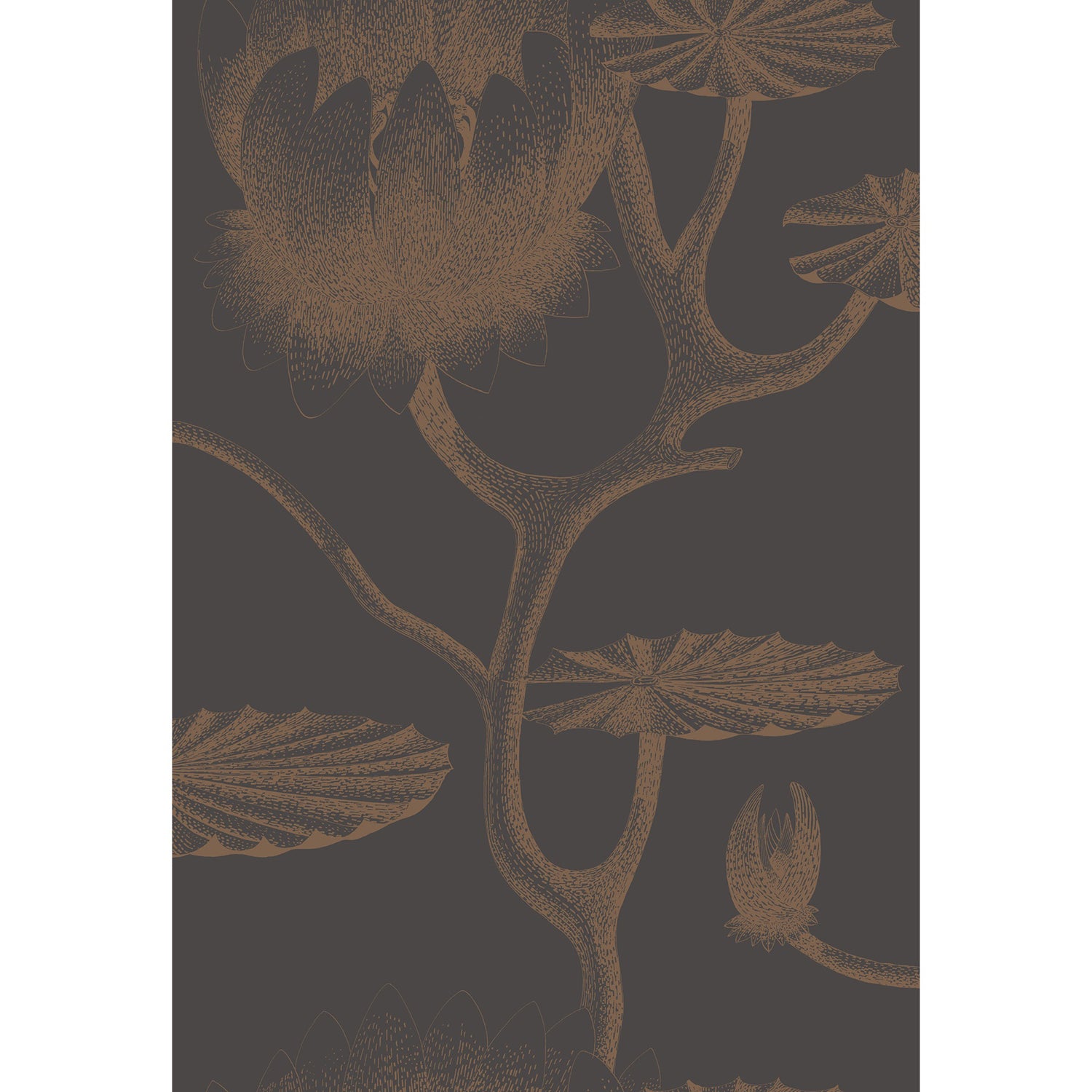 Cole & Son New Contemporary Restyled Lily Wallpaper