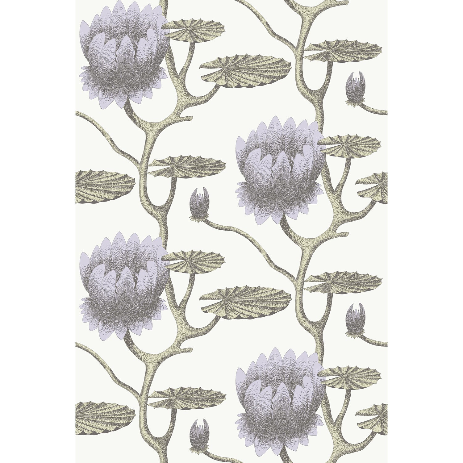 Cole & Son Contemporary Restyled Summer Lily Wallpaper
