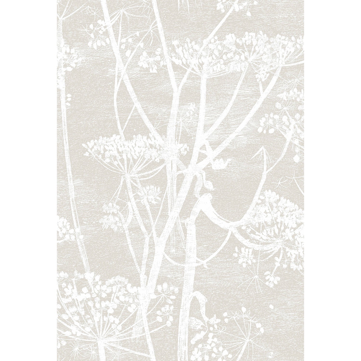 Cole & Son Contemporary Restyled Cow Parsley Wallpaper