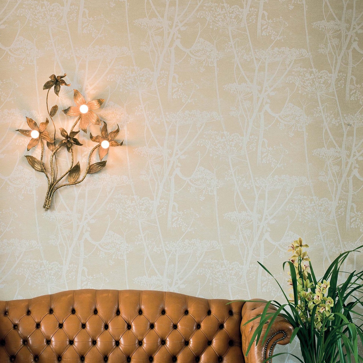 Cole & Son Contemporary Restyled Cow Parsley Wallpaper