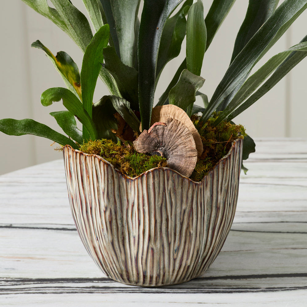 Capira Pot