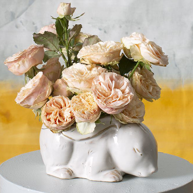 Nestle Bunny Pot
