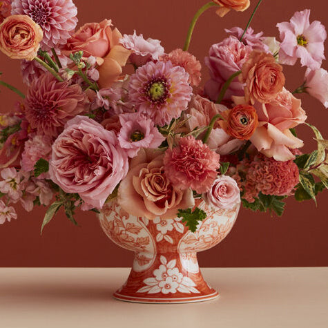 Elodie Coral Compote