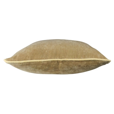 Andover Velvet Throw Pillow