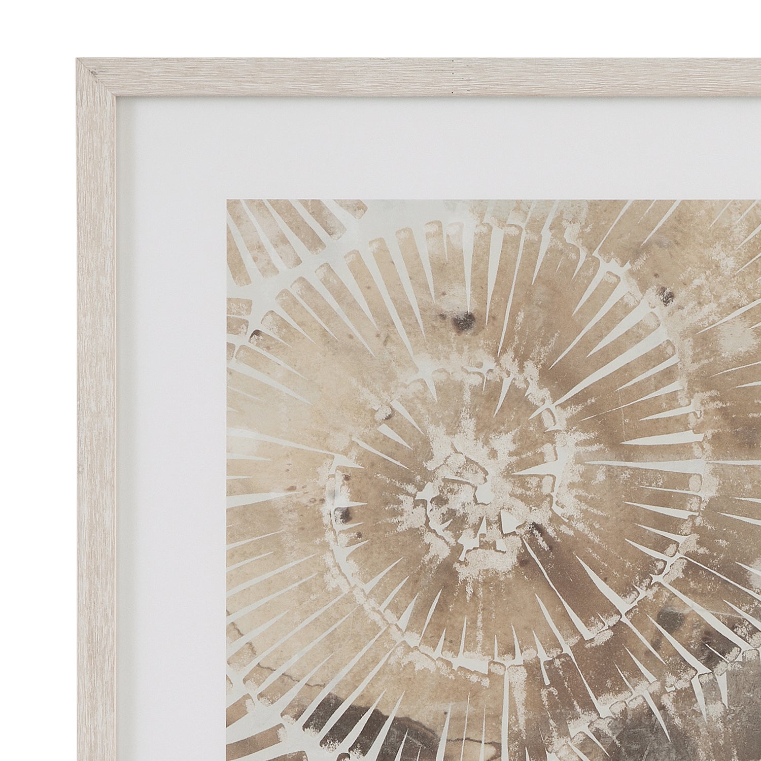 Bassett Mirror Fossil Nautilus Framed Print Set of 2