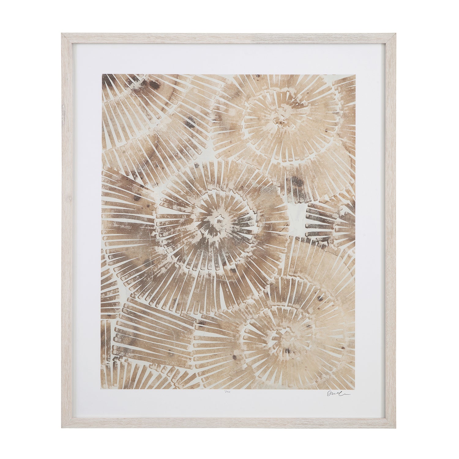Bassett Mirror Fossil Nautilus II Framed Print